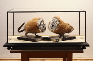 _mineralogical-nutria_photo-kazumi-terazaki-mensi